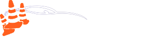 Bright Driving School Logo